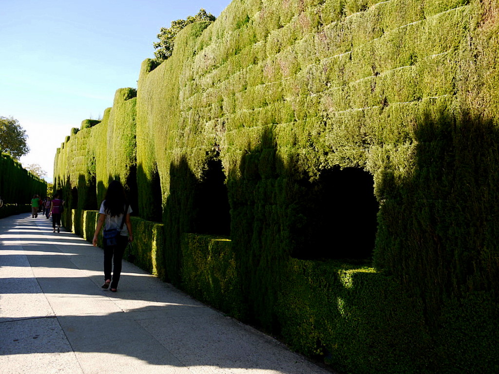 Alhambra-General life garden